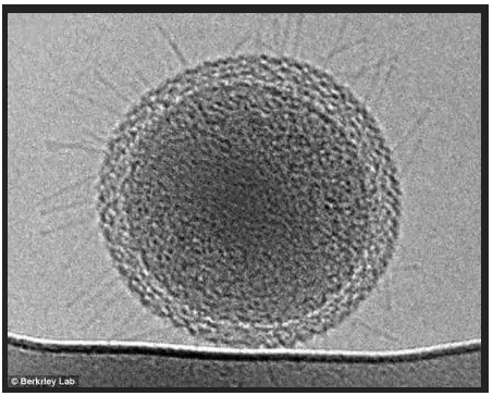 1583111249404151.png image.png