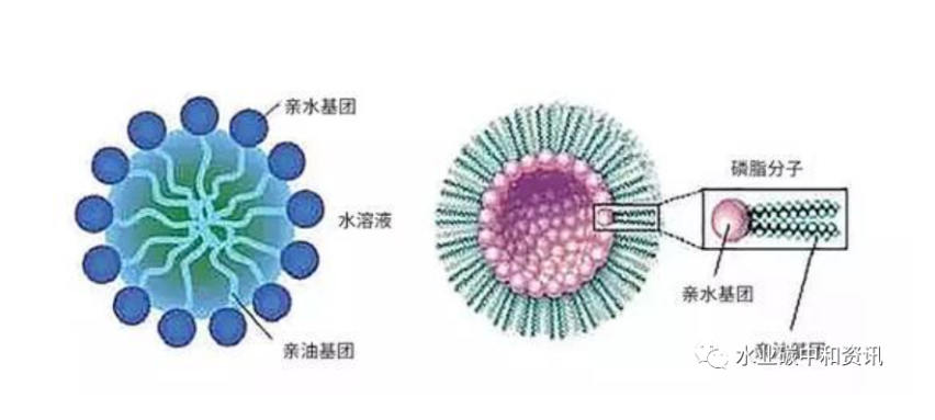 1628818222787212.png 1628818222787212.png